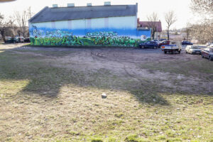 16.3.2016 Kielce. Rozjeżdżony trawnik przy Skateparku na Kadzielni. / Wojciech Habdas / Radio Kielce
