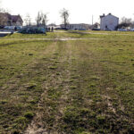 16.3.2016 Kielce. Rozjeżdżony trawnik przy Skateparku na Kadzielni. / Wojciech Habdas / Radio Kielce