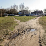 16.3.2016 Kielce. Rozjeżdżony trawnik przy Skateparku na Kadzielni. / Wojciech Habdas / Radio Kielce