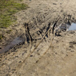 16.3.2016 Kielce. Rozjeżdżony trawnik przy Skateparku na Kadzielni. / Wojciech Habdas / Radio Kielce