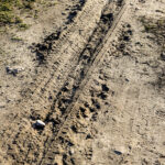 16.3.2016 Kielce. Rozjeżdżony trawnik przy Skateparku na Kadzielni. / Wojciech Habdas / Radio Kielce