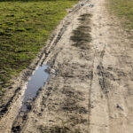 16.3.2016 Kielce. Rozjeżdżony trawnik przy Skateparku na Kadzielni. / Wojciech Habdas / Radio Kielce