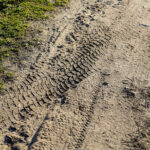 16.3.2016 Kielce. Rozjeżdżony trawnik przy Skateparku na Kadzielni. / Wojciech Habdas / Radio Kielce