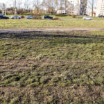 16.3.2016 Kielce. Rozjeżdżony trawnik przy Skateparku na Kadzielni. / Wojciech Habdas / Radio Kielce