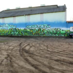 16.3.2016 Kielce. Rozjeżdżony trawnik przy Skateparku na Kadzielni. / Wojciech Habdas / Radio Kielce