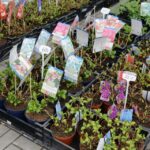 18.03.2016 Kielce. Targi Kielce. Pierwszy dzień targów AGROTECH. / Wojciech Habdas / Radio Kielce