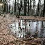 19.3.2016 Św. Krzyż. Ekstremalna Droga Krzyżowa. Ostatnie kilkaset metrów przed celem. / Wojciech Habdas / Radio Kielce