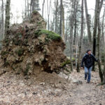 19.3.2016 Św. Krzyż. Ekstremalna Droga Krzyżowa. Ostatnie kilkaset metrów przed celem. / Wojciech Habdas / Radio Kielce