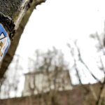 22.3.2016 Św. Krzyż. Na drzewach w Świętokrzyskiego Parku Narodowego pojawiły się oznaczenia Szlaku Św. Jakuba. To metalowe tabliczki, przybijane gwoździami do drzew. / Wojciech Habdas / Radio Kielce