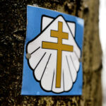 22.3.2016 Św. Krzyż. Na drzewach w Świętokrzyskiego Parku Narodowego pojawiły się oznaczenia Szlaku Św. Jakuba. To metalowe tabliczki, przybijane gwoździami do drzew. / Wojciech Habdas / Radio Kielce