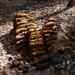 07.04.2016. Niewybuchy znalezione w lesie koło kopalni Józefka w Górnie / fot. Nadleśnictwo Daleszyce