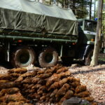 07.04.2016. Niewybuchy znalezione w lesie koło kopalni Józefka w Górnie / fot. Nadleśnictwo Daleszyce