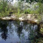 27.04.2016 Kopiec. Miejsce odkrycia śladów ryb sprzed 400 mln lat. / Krzysztof Żołądek / Radio Kielce