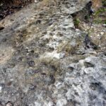 27.04.2016 Kopiec. Miejsce odkrycia śladów ryb sprzed 400 mln lat. / Krzysztof Żołądek / Radio Kielce