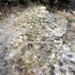 27.04.2016 Kopiec. Miejsce odkrycia śladów ryb sprzed 400 mln lat. / Krzysztof Żołądek / Radio Kielce