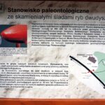 27.04.2016 Kopiec. Miejsce odkrycia śladów ryb sprzed 400 mln lat. / Krzysztof Żołądek / Radio Kielce