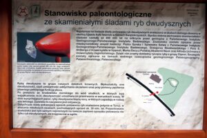 27.04.2016 Kopiec. Miejsce odkrycia śladów ryb sprzed 400 mln lat. / Krzysztof Żołądek / Radio Kielce