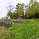 30.04.2016. Ogród przy kościele św. Jakuba w Sandomierzu / Grażyna Szlęzak-Wójcik / Radio Kielce