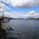 23.04.2016. Spacer po Flensburgu / Kamil Król / Radio Kielce