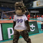 28.04.2016. Drugi mecz o 11 miejsce w Orlen Lidze: Developres Rzeszów - KSZO Ostrowiec. Maskotka Developresu / Maciej Makuła / Radio Kielce