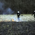 03.04.2016 Okolice Leszczyn. Strażacy gaszą płonące trawy. / Jarosław Kubalski / Radio Kielce