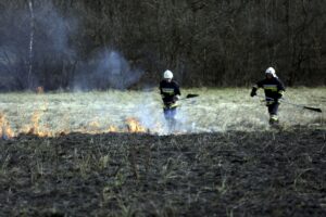 03.04.2016 Okolice Leszczyn. Strażacy gaszą płonące trawy. / Jarosław Kubalski / Radio Kielce