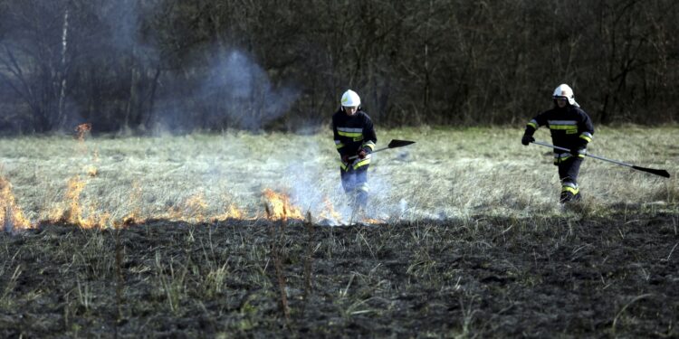 03.04.2016 Okolice Leszczyn. Strażacy gaszą płonące trawy. / Jarosław Kubalski / Radio Kielce