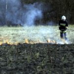 03.04.2016 Okolice Leszczyn. Strażacy gaszą płonące trawy. / Jarosław Kubalski / Radio Kielce