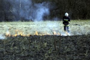 03.04.2016 Okolice Leszczyn. Strażacy gaszą płonące trawy. / Jarosław Kubalski / Radio Kielce