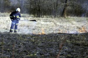 03.04.2016 Okolice Leszczyn. Strażacy gaszą płonące trawy. / Jarosław Kubalski / Radio Kielce