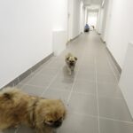 06.04.2016 Starachowice. Mieszkania socjalne przy ulicy Ostrowieckiej 21. / Jarosław Kubalski / Radio Kielce