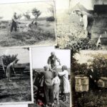 19.04.2016 Chmielnik. Wystawa pt. „Samarytanie z Markowej”  o rodzinie Ulmów, którą Niemcy zamordowali za pomoc Żydom. / Jarosław Kubalski / Radio Kielce