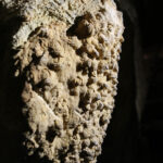 6.9.2015 Kielce. Podziemna trasa na Kadzielni / Wojciech Habdas / Radio Kielce