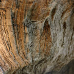 6.9.2015 Kielce. Podziemna trasa na Kadzielni / Wojciech Habdas / Radio Kielce