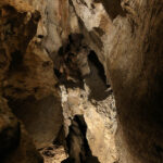 6.9.2015 Kielce. Podziemna trasa na Kadzielni / Wojciech Habdas / Radio Kielce