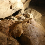 6.9.2015 Kielce. Podziemna trasa na Kadzielni / Wojciech Habdas / Radio Kielce