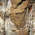 Kielce. Podziemna trasa na Kadzielni / Fot. Wojciech Habdas - Radio Kielce