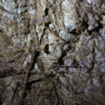 6.9.2015 Kielce. Podziemna trasa na Kadzielni / Wojciech Habdas / Radio Kielce