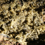 6.9.2015 Kielce. Podziemna trasa na Kadzielni / Wojciech Habdas / Radio Kielce