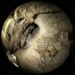 6.9.2015 Kielce. Podziemna trasa na Kadzielni / Wojciech Habdas / Radio Kielce