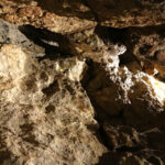 6.9.2015 Kielce. Podziemna trasa na Kadzielni / Wojciech Habdas / Radio Kielce