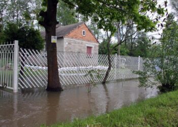 W miejscowości Przezwody w gminie Wilczyce wylała niewielka rzeka Opatówka / Robert Felczak / Radio Kielce