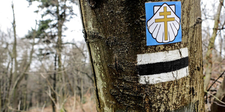 Otworzą szlak słynnego przewodnika - Radio Kielce Radio Kielce