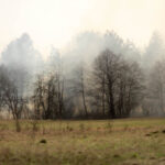 3.4.3016 Lipowica. Po drugiej stronie Bobrzy płoną trawy. / Wojciech Habdas / Radio Kielce