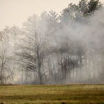 3.4.3016 Lipowica. Po drugiej stronie Bobrzy płoną trawy. / Wojciech Habdas / Radio Kielce