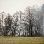 3.4.3016 Lipowica. Po drugiej stronie Bobrzy płoną trawy. / Wojciech Habdas / Radio Kielce