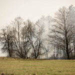 3.4.3016 Lipowica. Po drugiej stronie Bobrzy płoną trawy. / Wojciech Habdas / Radio Kielce