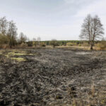 3.4.3016 Lurowizna. Łąki w okolicy Bobrzy po pożarze. / Wojciech Habdas / Radio Kielce