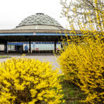 11.4.2016 Kielce. Dworzec PKS w Kielcach i jego otoczenie / Wojciech Habdas / Radio Kielce