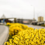 11.4.2016 Kielce. Dworzec PKS w Kielcach i jego otoczenie / Wojciech Habdas / Radio Kielce